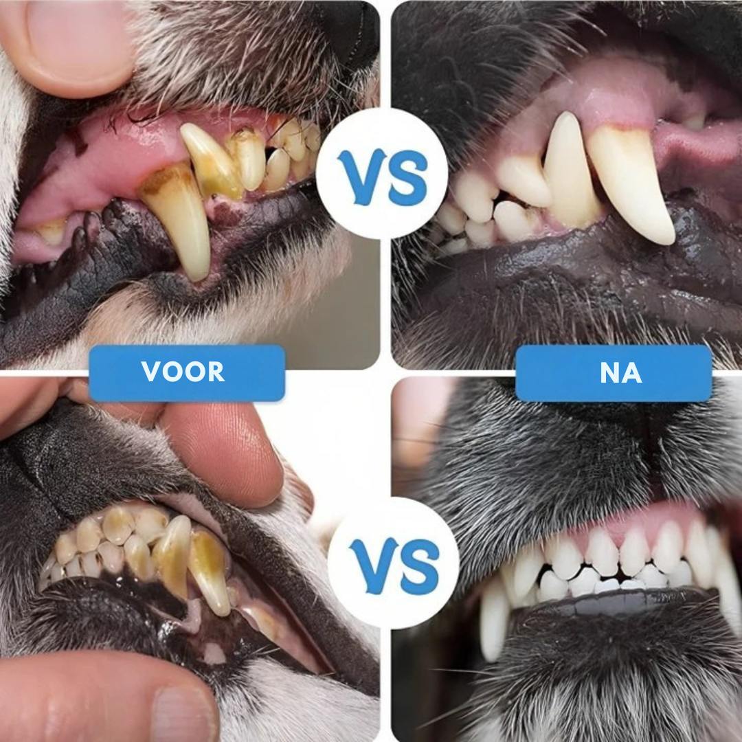 DentalPaws™ | Moeiteloze mondverzorging voor huisdieren