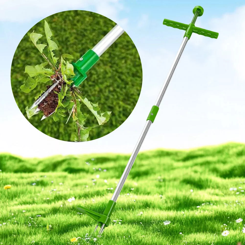 Pristogo™ | Prachtige tuin voor de zomer!